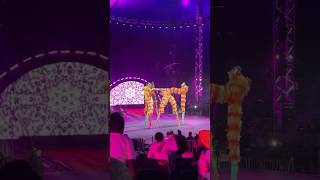 stilts circus tourlife caribbean vlog [upl. by Claudette232]