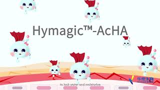 The amazing life scienceWhat is AcHA【Sodium Acetylated Hyaluronate】 Part 2 [upl. by Pearline]