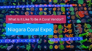 What Goes Into Preparing For A Coral Show  Niagara Coral Expo 2024 [upl. by Ahseenal544]