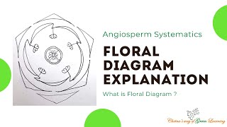 Floral Diagram explanation I What is floral diagram [upl. by Negyam290]