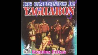 Los Campesinitos de Yaguaron  quotGrandes Éxitosquot Remasterizado Pajaro Campana [upl. by Lyrahc700]