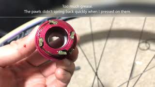 New Novatec Jetfly Fix Quiet Hubs and Pawls Not Engaging [upl. by Artemus]