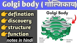 golgi body structure and function in hindi cell biology bsc biology [upl. by Vallery]