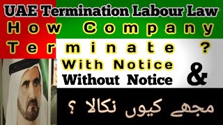 UAE Labour Law Termination l Labour Termination Rules l Important Update Terminate UAELOCALNEWS [upl. by Belmonte963]