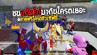 Warz New1000z  ชนแก๊งไก่แจ้มากันโครตเยอะ สายฟรีแม่งเอาจัดเซิฟนี้ [upl. by Tayler]