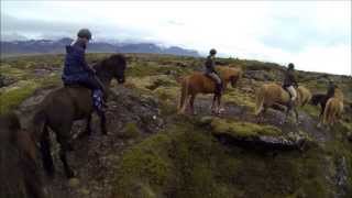 Riding through lavafield Búðahraun on Icelandic horses  II [upl. by Nedmac]