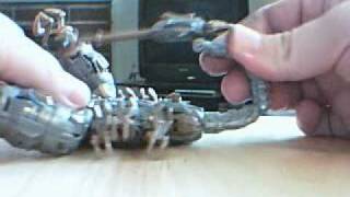 Video Review of Scorponok Transformers deluxe class [upl. by Otrevire242]