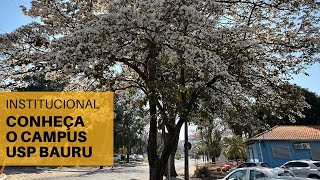 Institucional Conheça o Campus da USP Bauru [upl. by Aikimat]