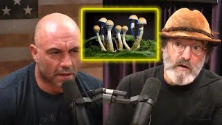 How Paul Stamets STOPPED Stuttering  Joe Rogan Experience [upl. by Reinwald]