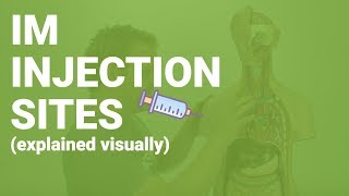 HOW TO GIVE IM INJECTIONS  sites considerations nursing care for nurses [upl. by Dawna]