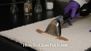 How to Clean Up Pet Vomit  Pet Proven™ [upl. by Chemaram]