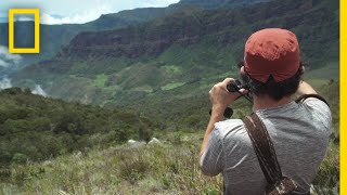 Birdwatching with FARC  National Geographic [upl. by Tremaine]