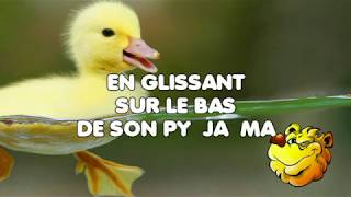 COIN COIN LE CANARD  Jerome Deltour [upl. by Etnuaed232]