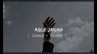 •Agle Janam✨🌷🪷🌿SlowedReverb•🪻🪷🌿 [upl. by Seabrook]