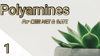 Polyamines  Introduction Homeostasis Crosstalks amp pyqs [upl. by Nylde]