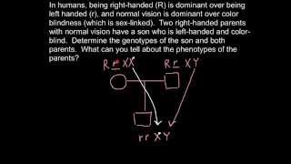 How to solve genetic problems by drawing a pedigree chart [upl. by Bibbye622]