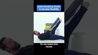 Quick Hamstring Stretch [upl. by Cohbert]