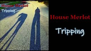 TRIPPING  House Merlot Demo Version [upl. by Ayhtin]