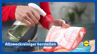 Allzweckreiniger selbst herstellen  Lidl Österreich [upl. by Panthea]