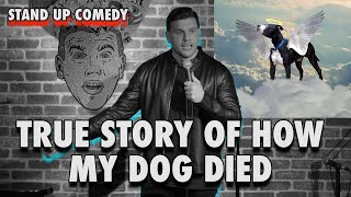 True Story of How My Dog Died  Chris Distefano  Stand Up Comedy [upl. by Eelatsyrc]