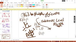 second phase glycolysis [upl. by Yursa]