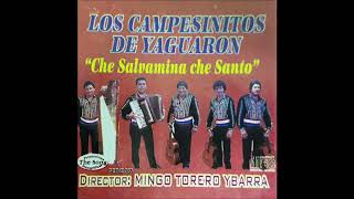 Los Campesinitos De Yaguaron  quotChe Salvamina Che Santoquot The Song [upl. by Sarid]