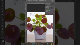 How to change plant color in photoshop 2024 [upl. by Lorita]