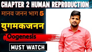 अध्याय 2 भाग 5 मानव जनन । जीव विज्ञान कक्षा 12। Human Reproduction । Schoolhousebiology [upl. by Rostand]