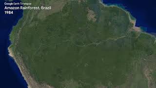 Amazon Rainforest Brazil  Earth Timelapse [upl. by Ayanahs]