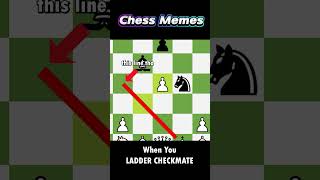 Ultimate Bishop Knight Combo  Chess Memes [upl. by Athelstan]