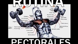 RUTINA DE PECTORALES EN EL GYM EXPLICADO [upl. by Amuwkuhc621]