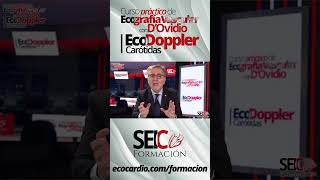 Curso Práctico de Ecografía Vascular  Eco Doppler Carótidas [upl. by Esdnyl]