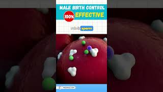 Male Birth Control ✅ 100 effective  Best Birth Control Medicine shortsvideo health fertility [upl. by Rodd780]