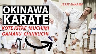 EPIC KARATE SEMINAR  Kote Kitae Crossfit amp Chinkuchi — Jesse Enkamp [upl. by Catt]