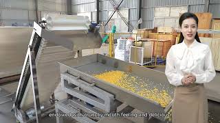 how to process breakfast cereal corn flakes corn flakes making machine [upl. by Bea50]