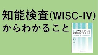 知能検査WISCIVをする目的とは？ [upl. by Silsby]