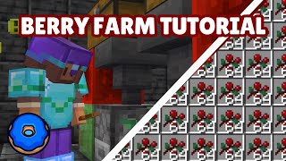 How To Make Berry Farm on DonutSMP The Best Farm [upl. by Akkin]