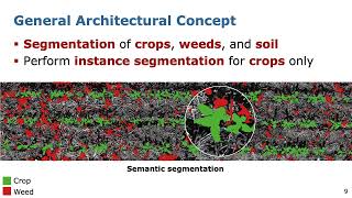 RALICRA22 Joint Plant and Leaf Instance Segmentation on FieldScale UAV Imagery by Weyler et al [upl. by Eet]