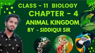 Class 11 Biology Chapter 4 Animal kingdom by Siddiqui Sir Lecture  2 kingdom animalia [upl. by Kriss969]