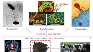 Metagenomics Microbiomes and ModelsOh My [upl. by Nerua]