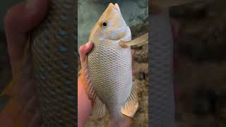 Fishing 14 mile camp on the Ningaloo reef [upl. by Baxter]