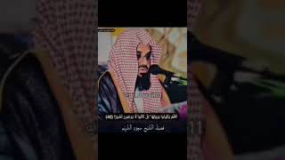 Beautiful recitation by shaikh shuraim imam e kaba Quran shorts quran islamicmusic youtubeshorts [upl. by Avivah]