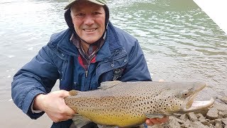 Steelhead and Brown Trout Combo  Boatless Angling [upl. by Meerek]