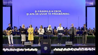 Naples Worship Band  Frumos Tu ai creat [upl. by Aicena117]