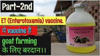 ETenterotoxemia Vaccine in goatsgoat farming in hindibakri paln [upl. by Almallah]