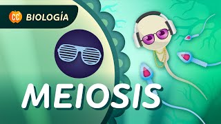 Meiosis ¿Cómo se hacen las células sexuales Crash Course Biología 30 [upl. by Eetak]