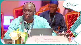 Address of Head of Delegation of GuineaBissau at 3rd Education Ministers Conference [upl. by Enelrahc]