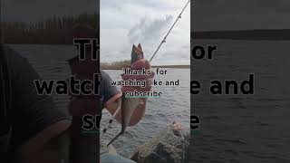 Surprise catch no4Spanish Mackerelfishfishing brackishwaterfishing sportfishing outdoors [upl. by Posner688]