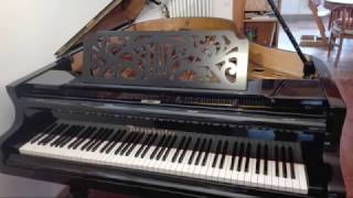 Steinway vs Bösendorfer Chopin Fantasie Impromptu [upl. by Layman]