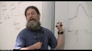 Sapolsky  Dopamine Anticipation amp Relationships [upl. by Nivrek]